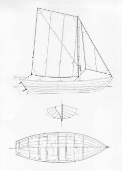 38 - Smålandseka 'Kajsa'