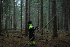 Virke till mast och spri