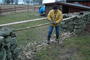 Virke till mast och spri